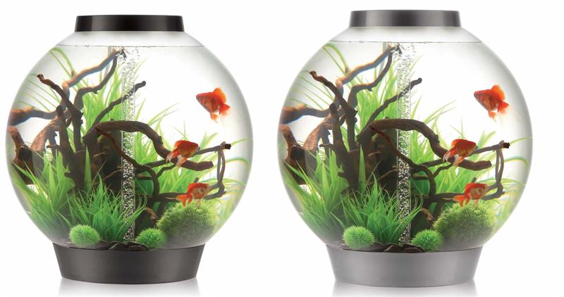 Biorb 8 Gallon
