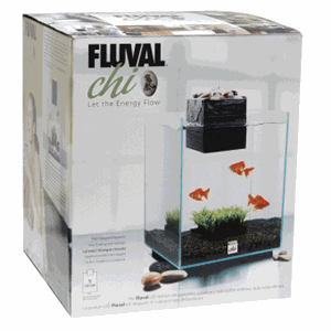 fluval chi 5 gallon