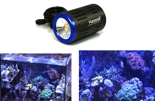 kessil a150w 15 000k ocean blue 32w led fixture acrylic aquariums